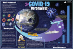 CoronaVirus Infographic